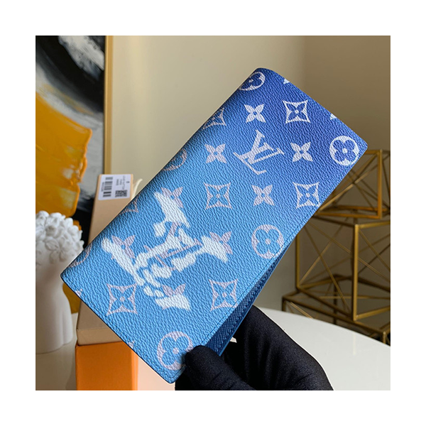 루이비통 바자 장지갑 M48456