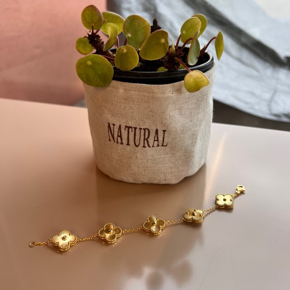 27db07a183443e246876d0e69a29c953_1741536809_6079.jpg 27db07a183443e246876d0e69a29c953_1741536809_6079.jpg