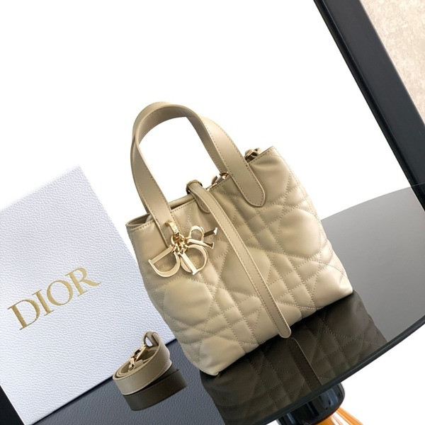 [ Dior ] 디올 Toujours 스몰 백