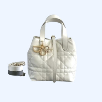 [ Dior ] 디올 Toujours 스몰 백