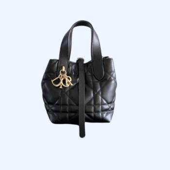 [ Dior ] 디올 Toujours 미니 백