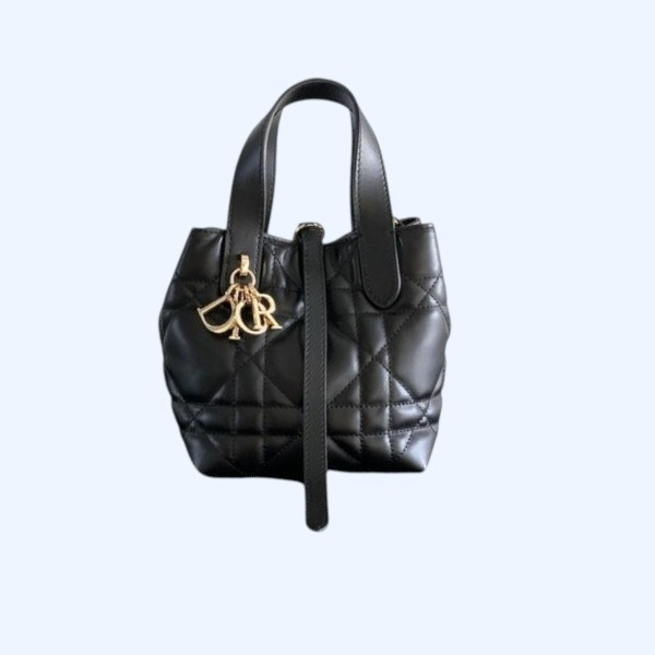 [ Dior ] 디올 Toujours 미니 백