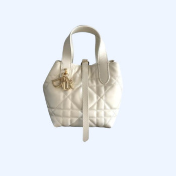 [ Dior ] 디올 Toujours 미니 백