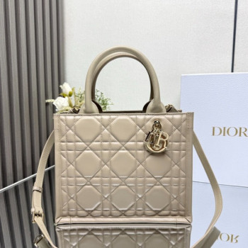 [ Dior ] 디올 Book Tote 스몰 백