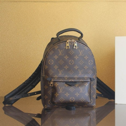 [ LV ] 팜 스프링스 모노그램