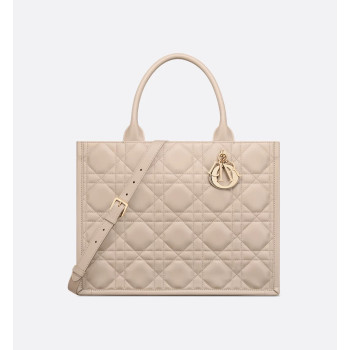 Dior Book Tote 미디엄 백
