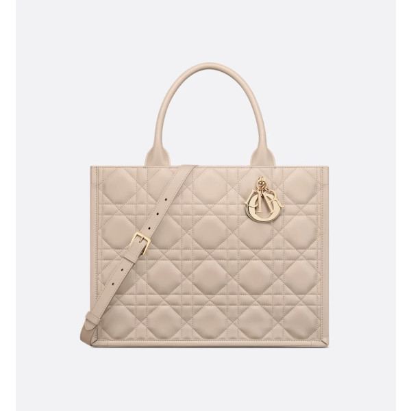 Dior Book Tote 미디엄 백