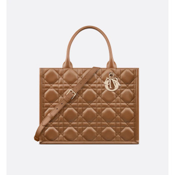 Dior Book Tote 미디엄 백