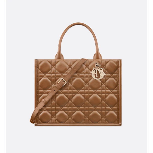 Dior Book Tote 미디엄 백