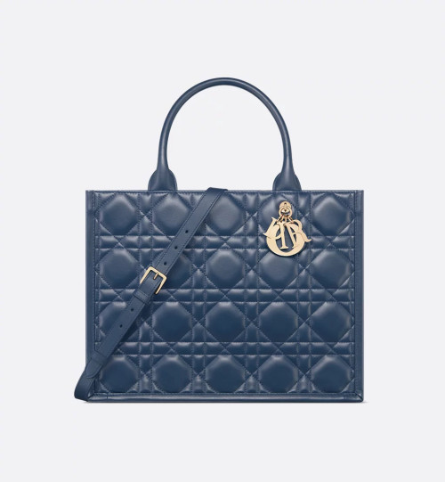 Dior Book Tote 미디엄 백