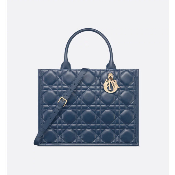 Dior Book Tote 미디엄 백