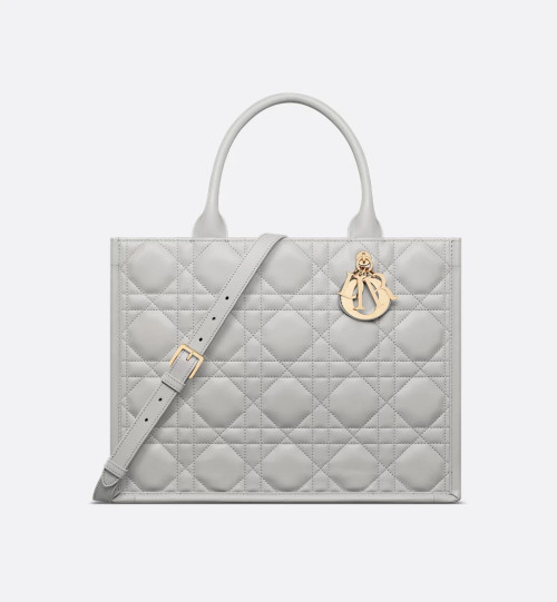 Dior Book Tote 미디엄 백