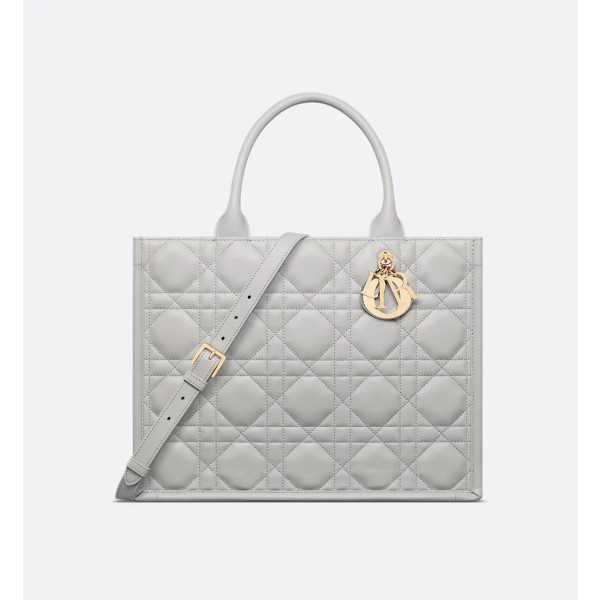 Dior Book Tote 미디엄 백
