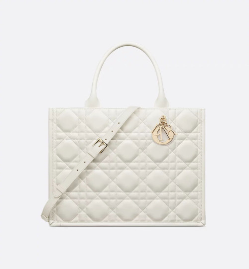 Dior Book Tote 미디엄 백