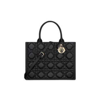 Dior Book Tote 미디엄 백
