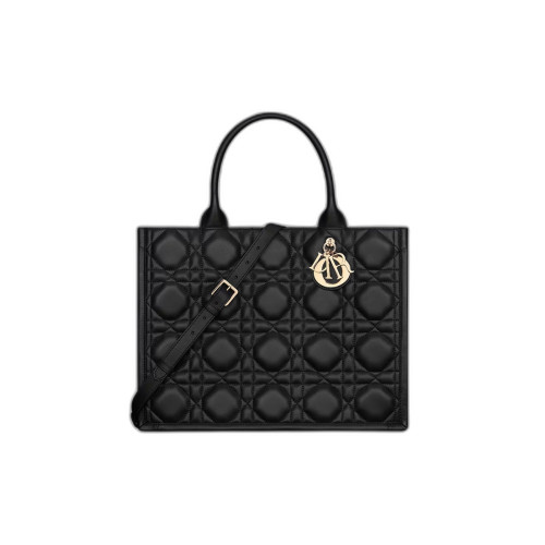 Dior Book Tote 미디엄 백