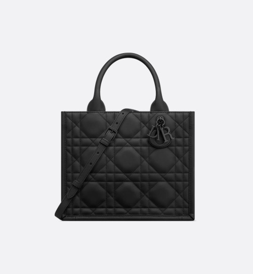 Dior Book Tote 스몰 백