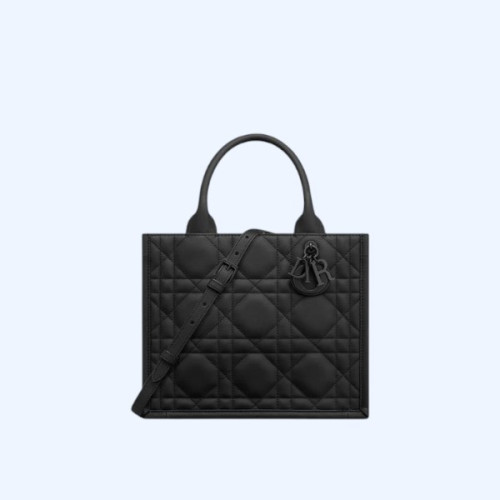 Dior Book Tote 스몰 백