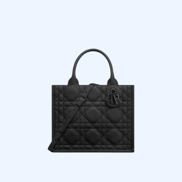 Dior Book Tote 스몰 백