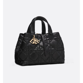 Dior Toujours 미디엄 백