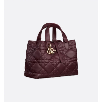 Dior Toujours 미디엄 백 버킹