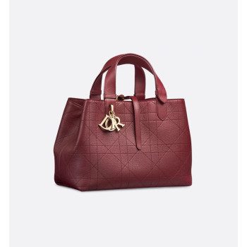 Dior Toujours 미디엄 백