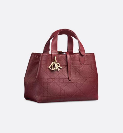 Dior Toujours 미디엄 백