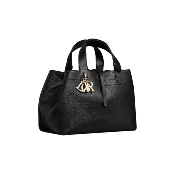 Dior Toujours 미디엄 백