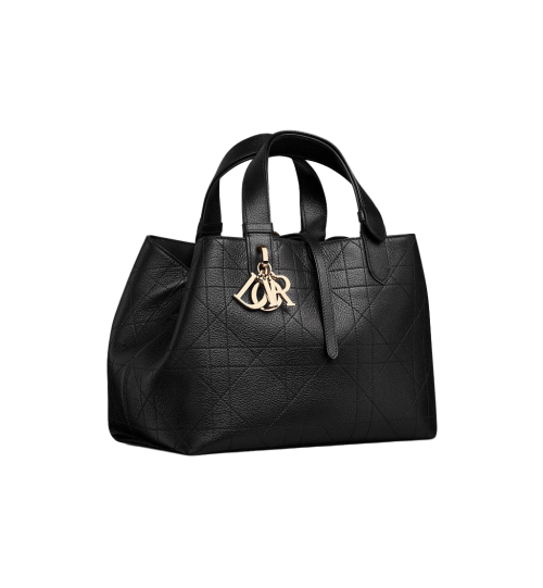 Dior Toujours 미디엄 백