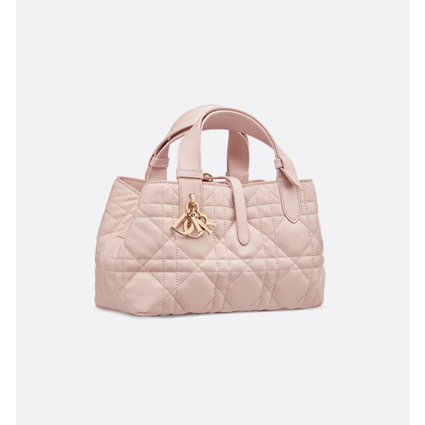 Dior Toujours 스몰 백