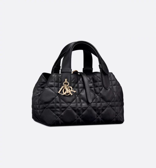 Dior Toujours 스몰 백