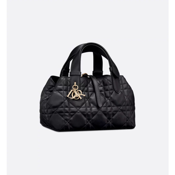 Dior Toujours 스몰 백