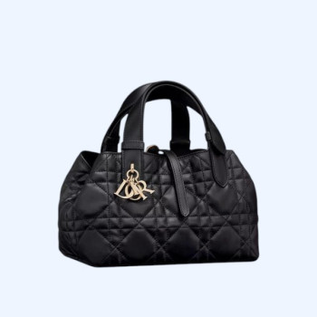 Dior Toujours 스몰 백