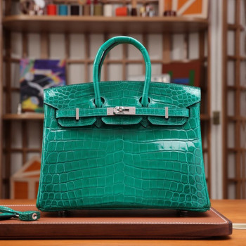 에르메스 버킨 25 르투르네 크로커다일 그린 실버 하드웨어