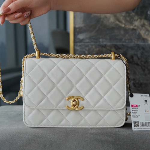 샤넬 클래식 스몰 WOC 22 