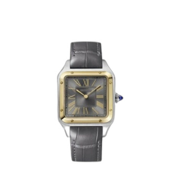 산토스-뒤몽 W2SA0028