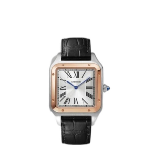 산토스-뒤몽 W2SA0017