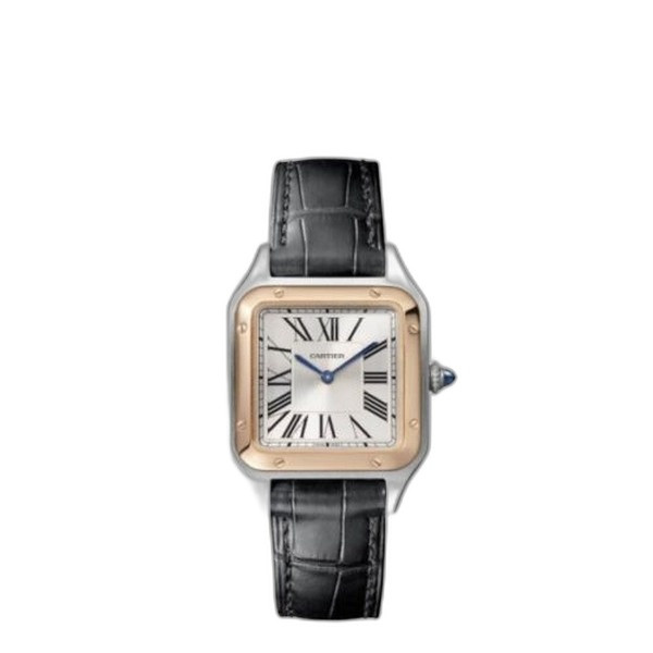 산토스-뒤몽 W2SA0012