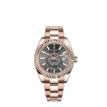 스카이 드웰러 금통 326935