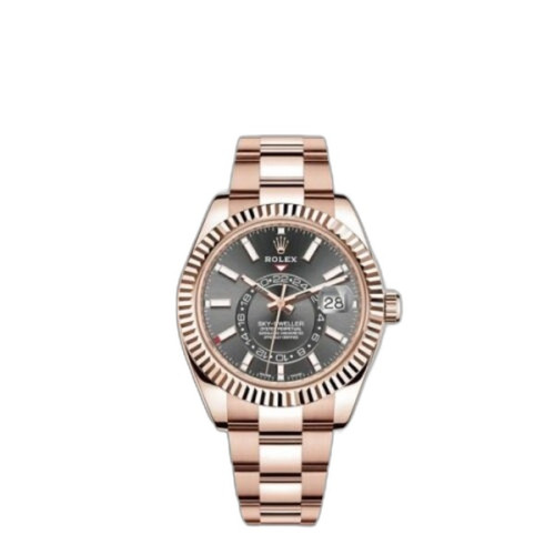 스카이 드웰러 금통 326935