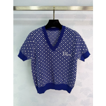 디올 V넥 블루메인 반팔 티셔츠