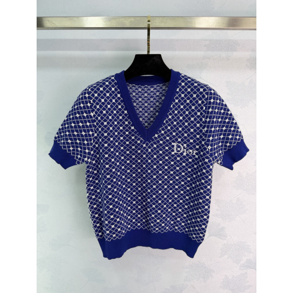 디올 V넥 블루메인 반팔 티셔츠